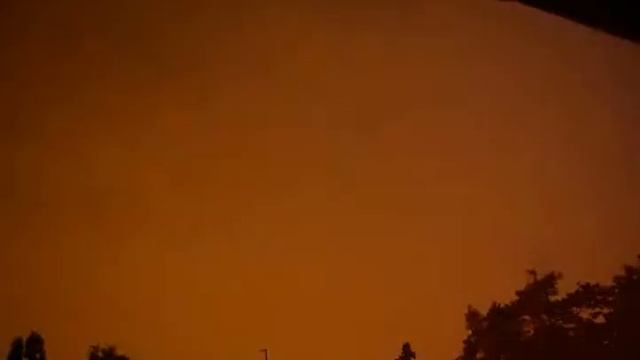 woof woof смотреть онлайн