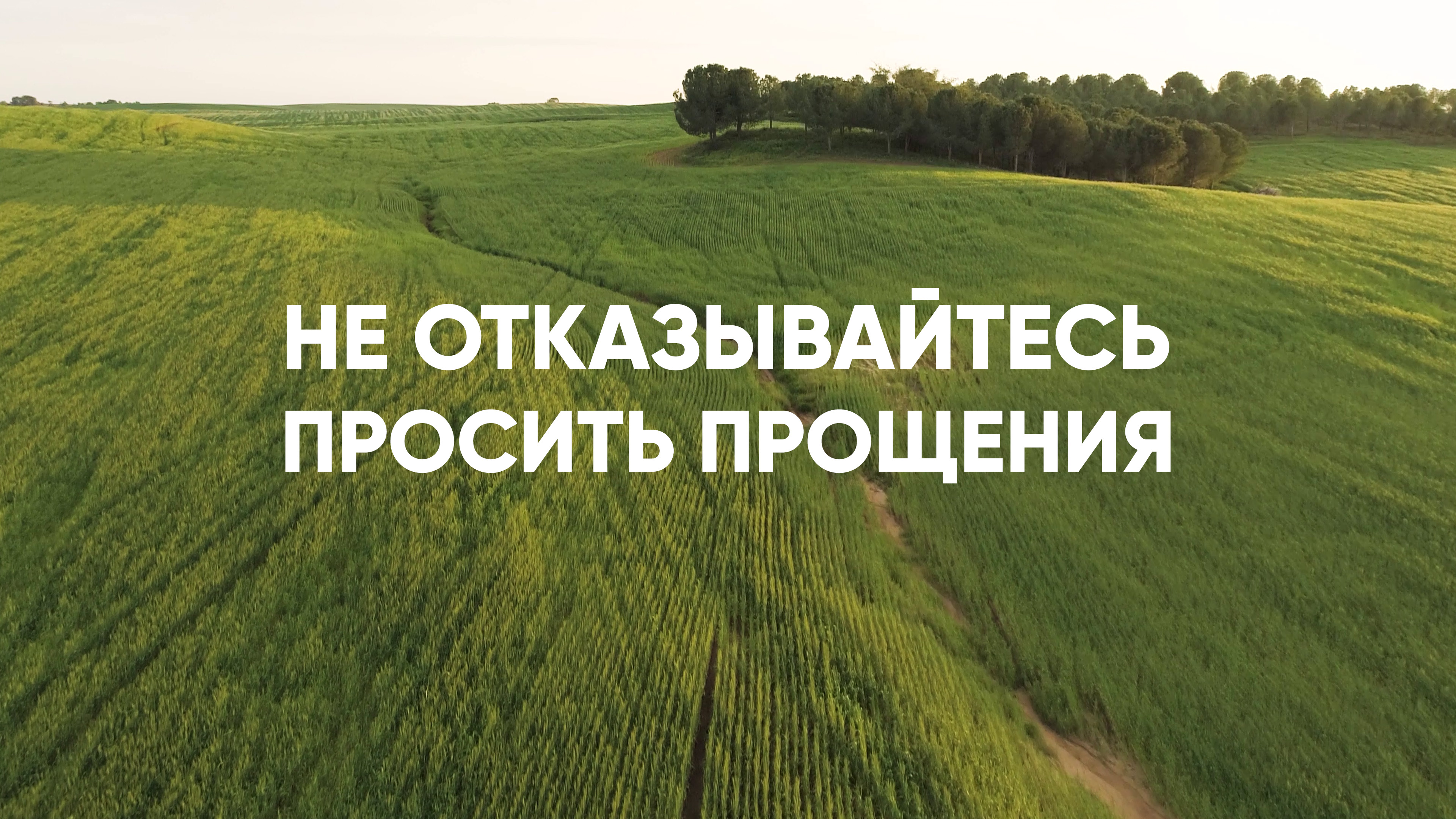 Не отказывайтесь просить прощения смотреть онлайн
