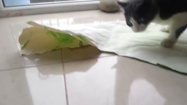 Кот Кузя, съел муху смотреть онлайн