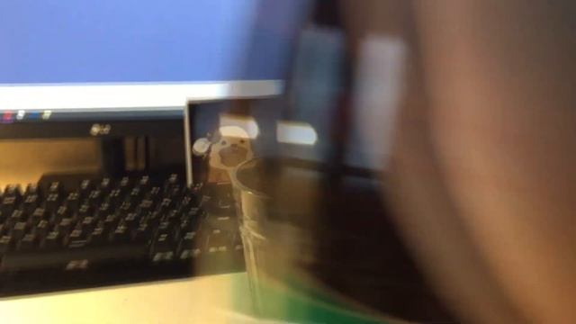 Обзор на БИО лимонад Питень смотреть онлайн