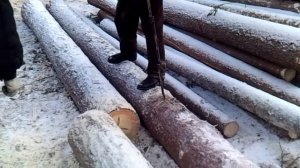 Тачковка леса