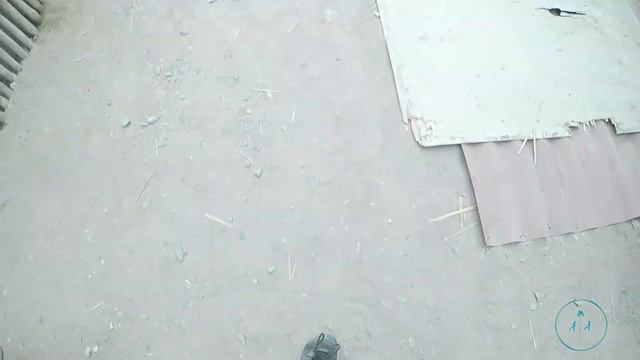 Volunteer at animal shelter // Peru Vlog! смотреть онлайн