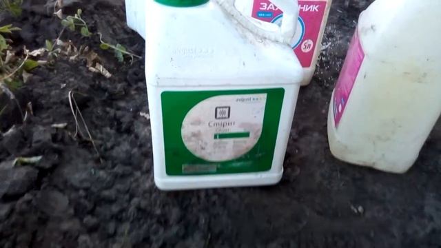 18.06.18 - гібриди соняшнику - обприскування: смотреть онлайн