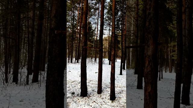 2 4 2023 прогулка в Бердске к морю Обскому смотреть онлайн