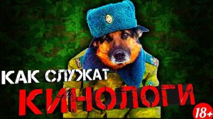 Как служат военные кинологи?