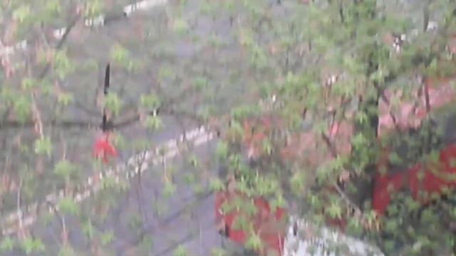 Троллейбус ЗиУ-9 1698. Едет по 9 маршруту. Часть 4. смотреть онлайн