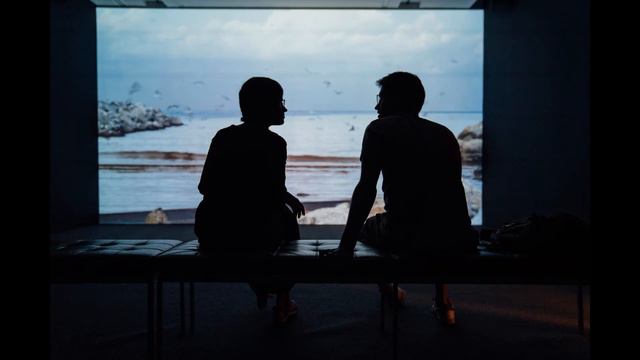 ΑΝΤΩΝΗΣ ΒΑΡΔΗΣ & ΓΙΑΝΝΗΣ ΒΑΡΔΗΣ - Που να εξηγώ (στίχοι) смотреть онлайн