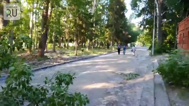 В Зауралье после урагана массово оборваны линии электропередач. смотреть онлайн