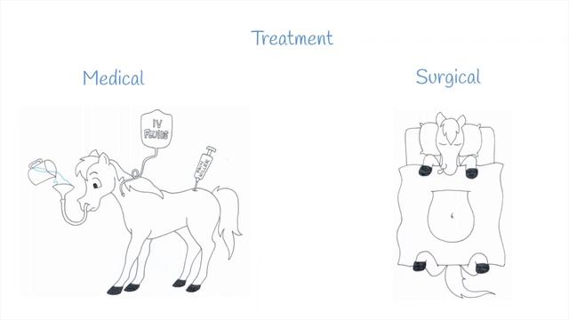 Types of colic in horses - Vet students смотреть онлайн
