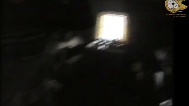 Весна 1997 года Карелия. смотреть онлайн