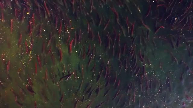 Загадочный Мир