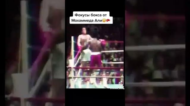 Костя Дзю против Али