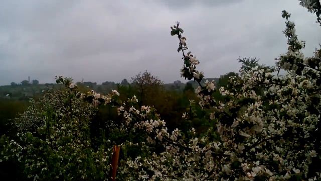 Весна на даче смотреть онлайн