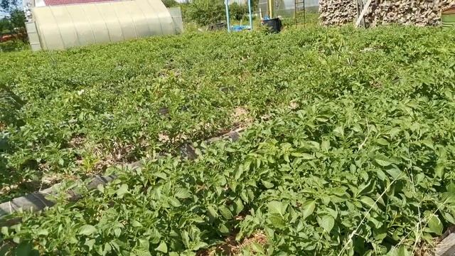 ДОМ ПОД ТВЕРЬЮ смотреть онлайн