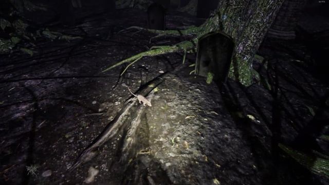 #2 Pacify-Меня превратили в крысу!