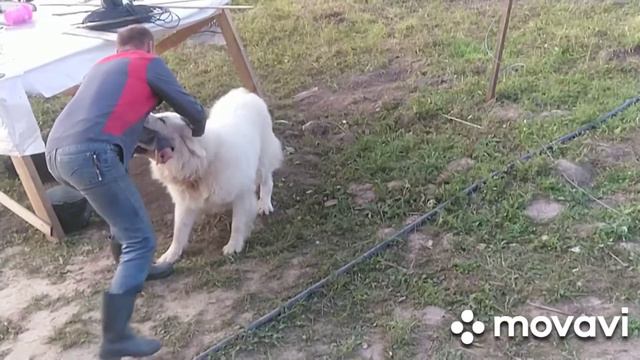 Название 😁 смотреть онлайн