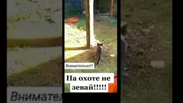 не зивай смотреть онлайн