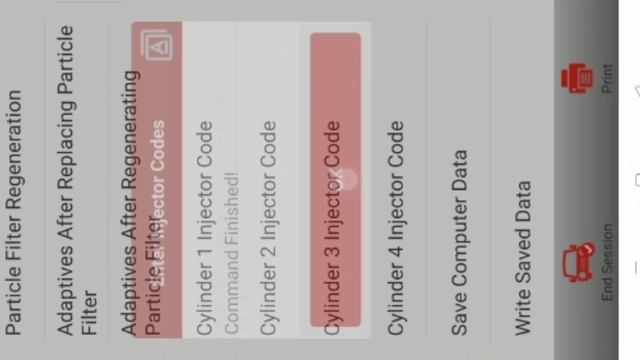 Renault Duster How To  Injector Coding