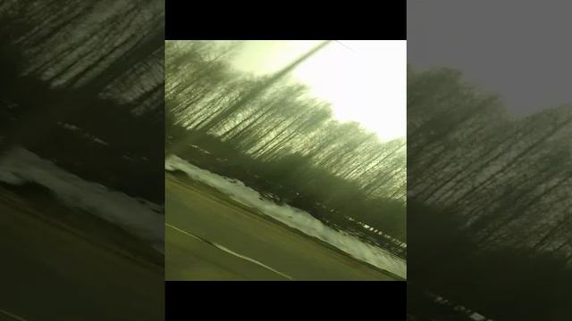 🐽🦄🦩🌸🌷💮🌺🪱🍑