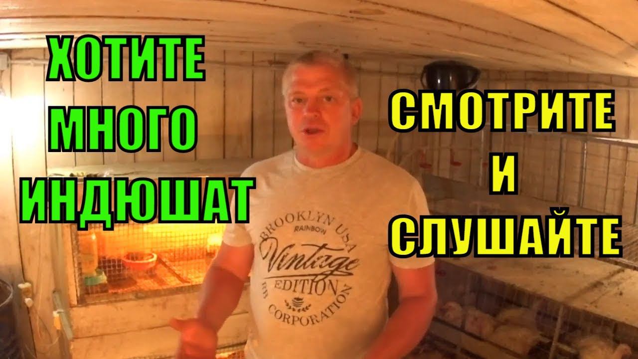 Много Индюшат без Затрат ПОСЛЕДОВАТЕЛЬНАЯ ИНКУБАЦИЯ ИНДЮШИНЫХ ЯИЦ Зауральское подворье смотреть онлайн