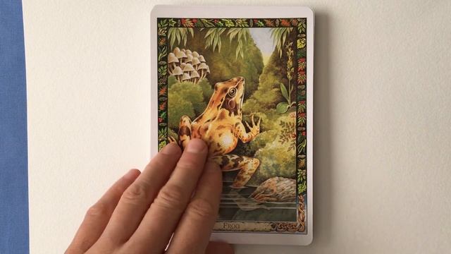 The Druid Animal Oracle | Flip Through смотреть онлайн
