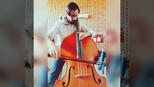 Cadenza Heinz Karl Gruber D major (Dittersdorf concerto) #doublebassplayer смотреть онлайн