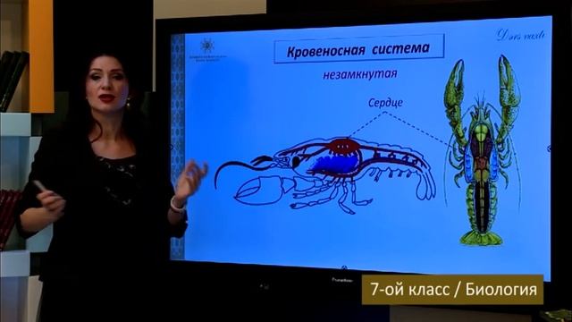 “Dərs vaxtı”: 7-ci sinif dərsləri (rus bölməsi) (17.03.2022) смотреть онлайн