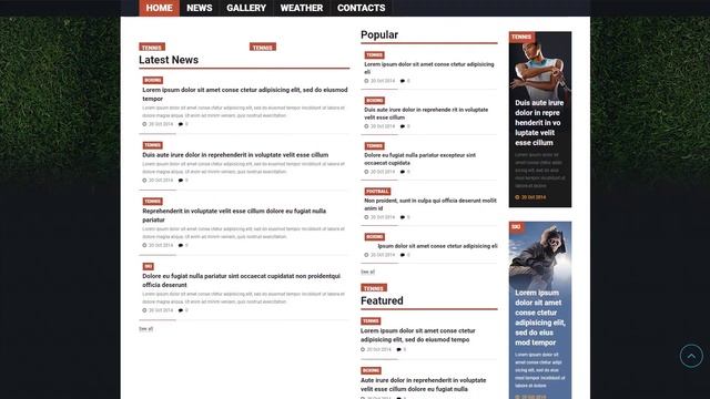 Sports News Responsive Joomla Template by RockThemes - 53529 смотреть онлайн