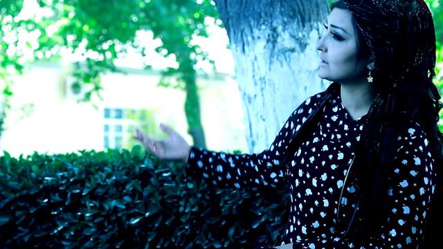 Гулдона Алиёрзода - Хонавайрон | Guldona Aliyorzoda - Khonavayron смотреть онлайн