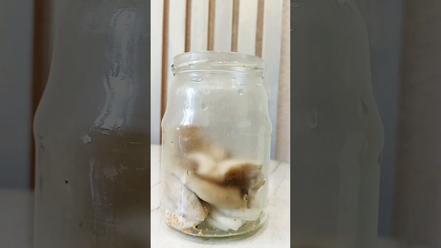 Евгений Большанин