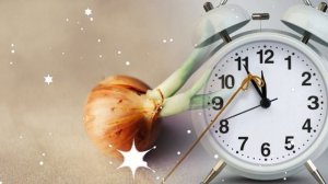 22 февраля народный праздник День ПАНКРАТИЯ. Что нельзя делать. Народные традиции и приметы