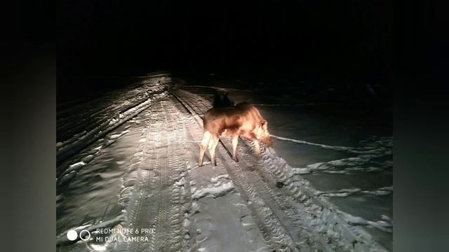 Авто Зимник, бездорожье Якутии. смотреть онлайн