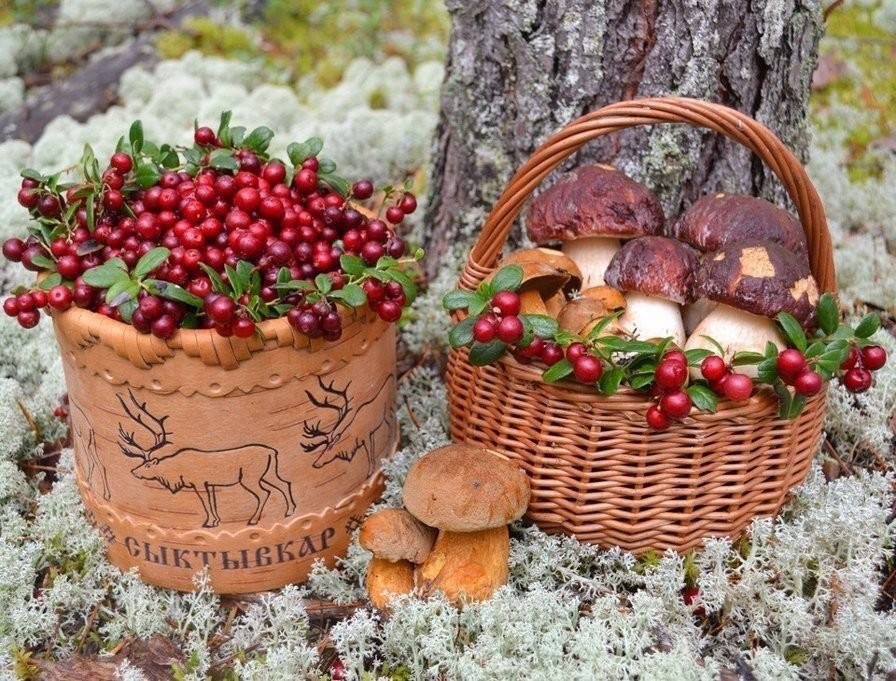 НЕОБЫЧНЫЕ ДАРЫ... ВЕДЬМИНА ИЗБА ● ИНГА ХОСРОЕВА смотреть онлайн