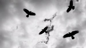 мы с Атаманом поиграем в шашки