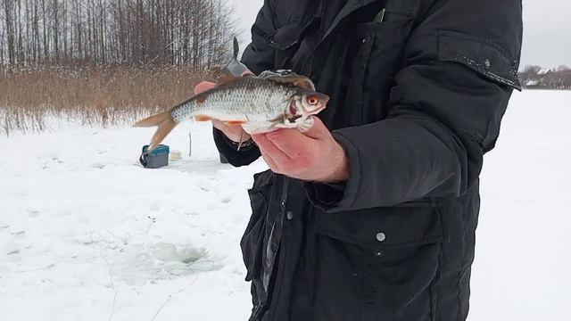 Первый лёд 2023г Щука смотреть онлайн