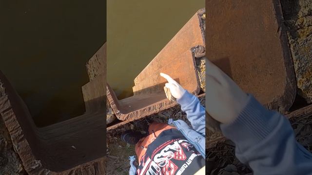 Грузовые и пассажирские поезда / Электропоезд ласточка / Прогулка смотреть онлайн