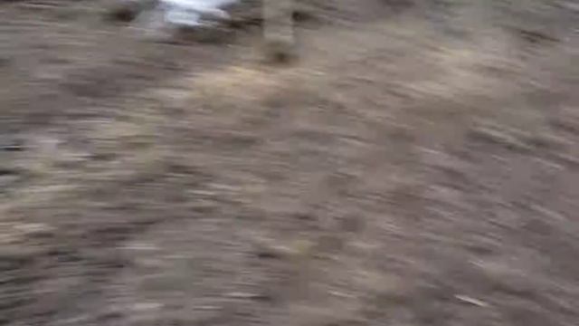 Уральские горы смотреть онлайн