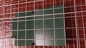 Если потерялся кот??Надёжный СПОСОБ поймать животное! Ловушка для кошек.