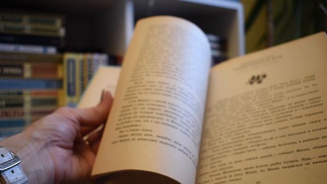КНИЖНЫЕ ПОКУПКИ К НОВОМУ ГОДУ. Прогулки по Сергиеву Посаду, музей советского детства. #влогмас смотреть онлайн