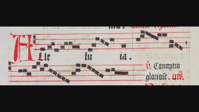 Alleluia. Conceptio.