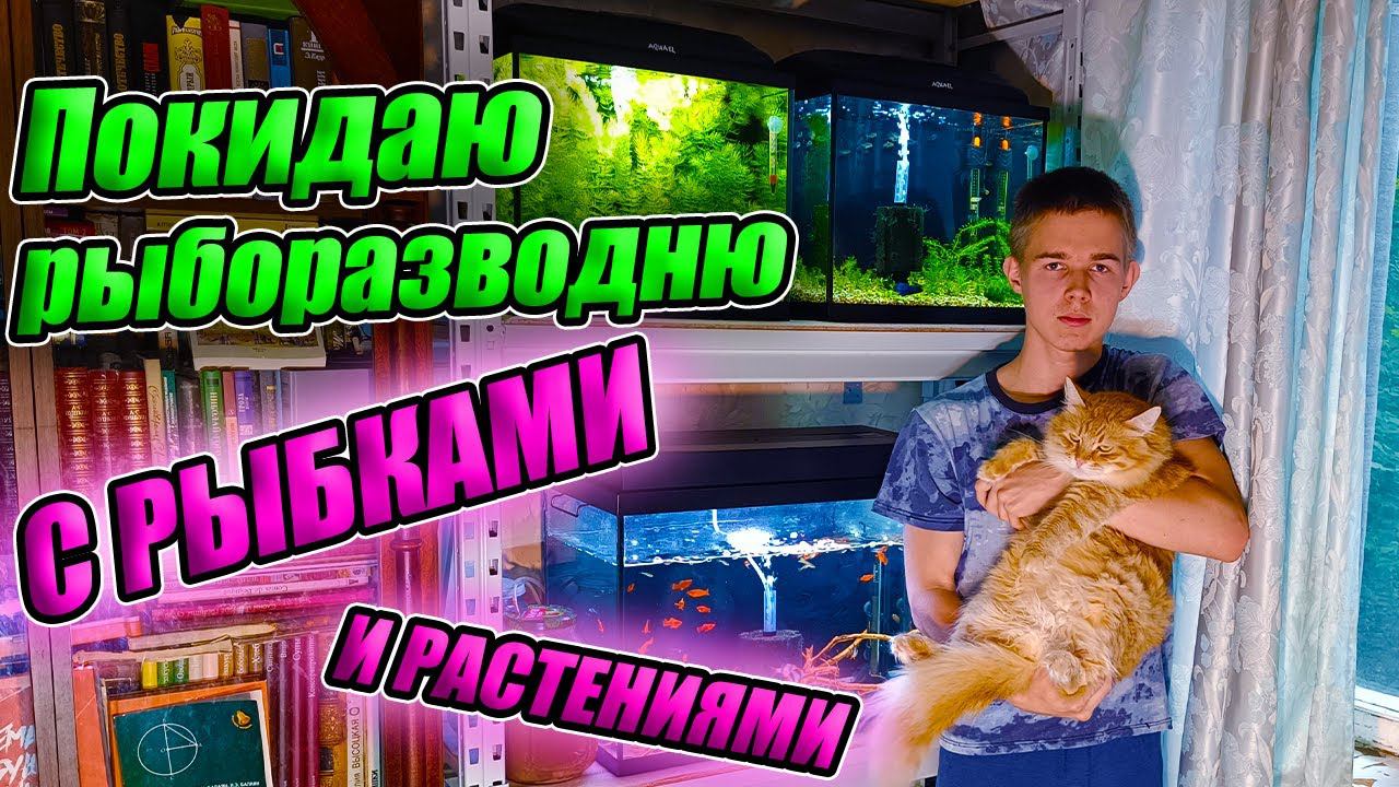 Покидаю рыборазводню с кошками и рыбками! смотреть онлайн