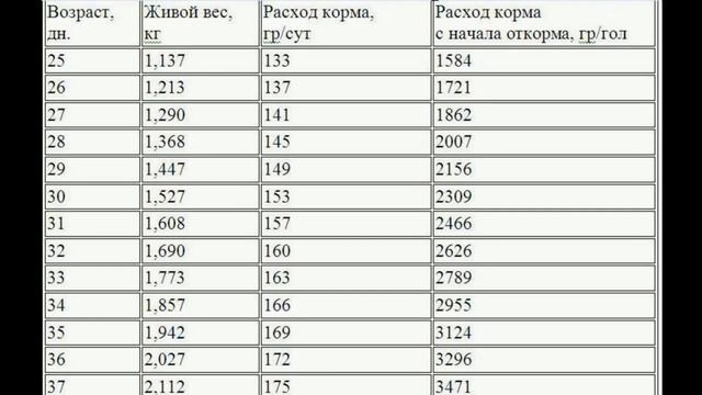 Показатели роста и количества корма по дням. Бройлер кобб 500 смотреть онлайн
