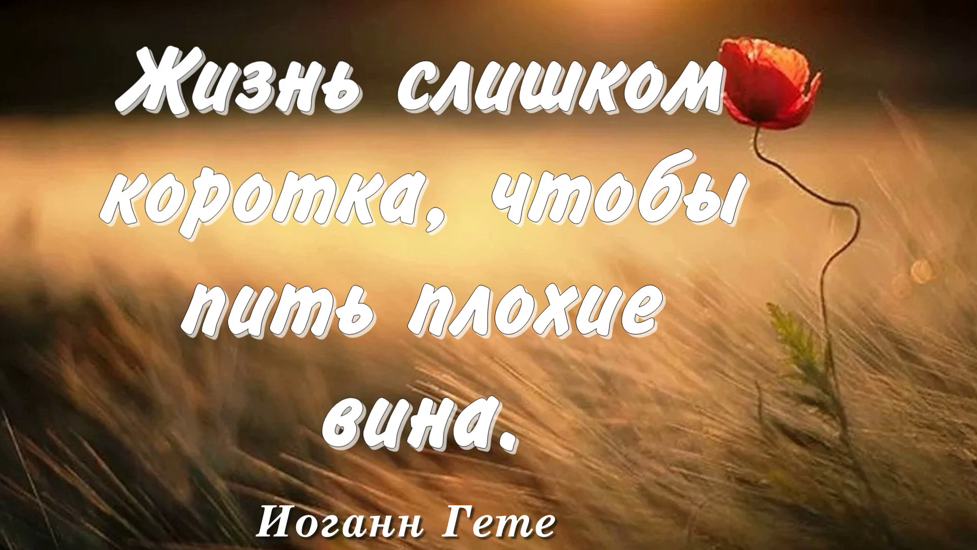 ЦИТАТЫ О СМЫСЛЕ ЖИЗНИ. СИЛЬНЫЕ СЛОВА. УМНЫЕ МЫСЛИ. АФОРИЗМЫ. смотреть онлайн