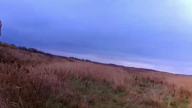 С подхода, мц 21/12 смотреть онлайн