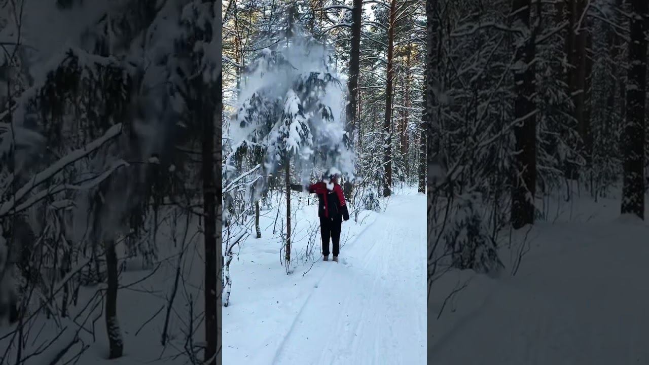 Изо всех сил приближаем весну#весна #зимауходи