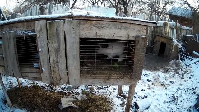 ПРОДАЛИ ВСЕ ЧТО БЫЛО И ОСТАЛИСЬ НИ С ЧЕМ. смотреть онлайн