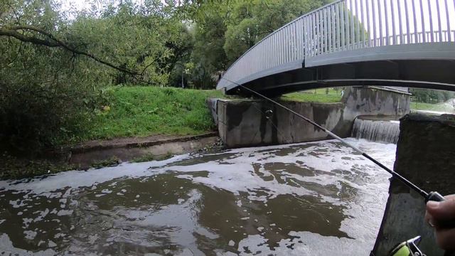 А в нашем парке водятся ЛЕЩИ смотреть онлайн