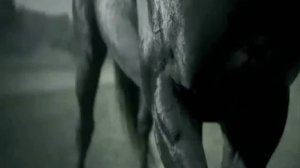 Мельница - ветер