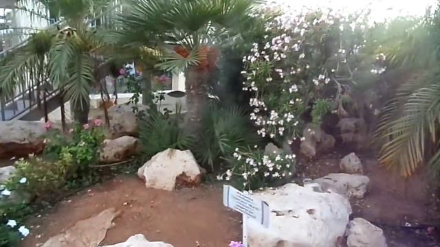 Прогулочка по Аквапарку Water World на Кипре ) смотреть онлайн