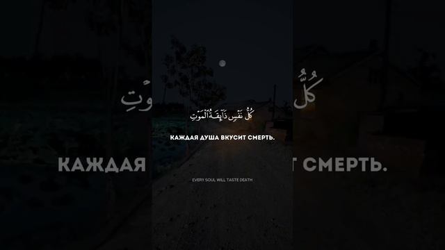 Видео можно скачать в тг: taqwa.tauhid #koran #quran #коран #ислам #чтениекорана смотреть онлайн